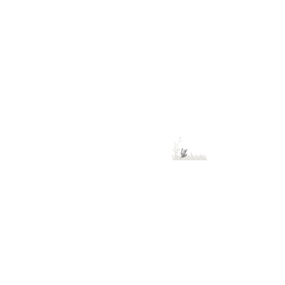 Isi Morales