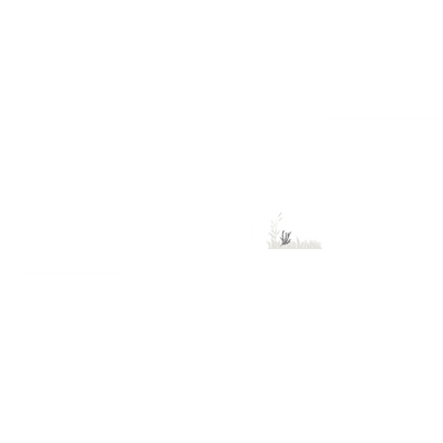 Isi Morales